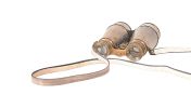 Antique Brass Binocular Figurine with Leather Overlay – Vintage Decorative Accent