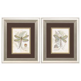 11" X 13" Brushed Silver Frame Dragonfly (Set Of 2)