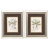 11" X 13" Brushed Silver Frame Dragonfly (Set Of 2)