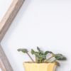 Gray Reclaimed Wood Hexagon Wall Shelves (Set of 3) – Rustic Open Shadowbox Decor