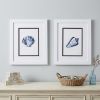 Set Of Two Blue And White Seashell Wall Art