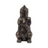 Gray Resin Bear Bookends (Set of Two) – Rustic Lodge‑Style Decorative Shelf Accents