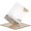 Optical Glass Cube and Gold Sculpture – Modern Tabletop Decorative Accent