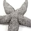 19" Antiqued Silver Resin Starfish Hanging Dimensional Sculpture