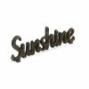 Black Cast Iron Hand Painted Sunshine Sculpture