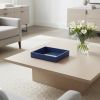 Navy Blue Mirrored Glass & Wood Faux Shagreen Vanity Tray