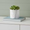 White & Gray Marbleized Ceramic Round Pot Planter