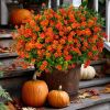 12-Bundle Red-Orange Artificial Outdoor Flowers – UV-Resistant Fall Garden Décor