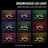LED Lighted Liquor Bottle Display, 2 Tiers 16 Inch Commercial Illuminated Home Bar Shelf, 2 Steps Whiskey Rack Stand
