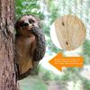 Sloth Tree Hugger, Spring Outdoor Decorations, Resin Garden Sculpture Ornament, Tree Peeker Statue, Garden Decor Sloth Gifts for Housewarming