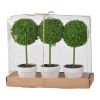 S/3 D3.5x9.5" Mini Faux Topiaries in Cream Pot