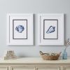 Set Of Two Blue And White Seashell Wall Art