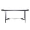 45" Clear and Black Glass and Metal Oval Coffee Table