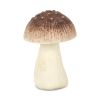 Cast Iron Mushroom Tabletop Sculpture – Rustic Boho Accent