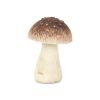 Cast Iron Mushroom Tabletop Sculpture – Rustic Boho Accent