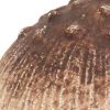 Cast Iron Mushroom Tabletop Sculpture – Rustic Boho Accent