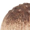Cast Iron Mushroom Tabletop Sculpture – Rustic Boho Accent