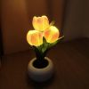 Tulip Lamp - LED Replica Tulip Table Lamp with Flower Vase for Desktop Decoration. Suitable for home, living room, desktop decoration, holiday gifts,