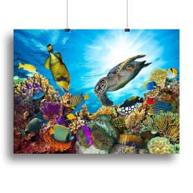 Colorful coral reef Canvas Print or Poster (type: Standard Framed Canvas Print, size: 12" x 8" / 30cm x 20cm (approx))