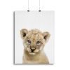 Peekaboo Baby Lion Canvas Print or Poster