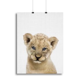 Peekaboo Baby Lion Canvas Print or Poster (type: Poster Print, size: 24" x 16" / 60cm x 40cm approx)