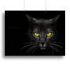 Black Cat Canvas Print or Poster