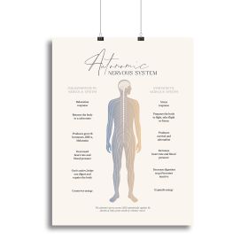 Autonomic Nervous System Canvas Print or Poster (type: Standard Framed Canvas Print, size: 40" x 26" / 100cm x 65cm approx)
