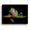 Curiosity Canvas Print or Poster
