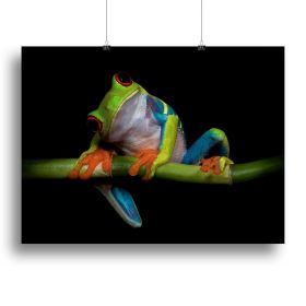 Curiosity Canvas Print or Poster (type: Standard Framed Canvas Print, size: 12" x 8" / 30cm x 20cm approx)