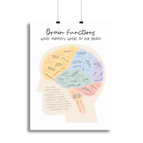Brain Functions Canvas Print or Poster (type: Poster Print, size: 12" x 8" / 30cm x 20cm approx)