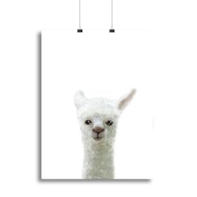 Llama Canvas Print or Poster (type: Poster Print, size: 12" x 8" / 30cm x 20cm approx)