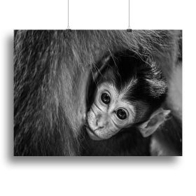 A Mothers Love Canvas Print or Poster (type: Poster Print, size: 28" x 20" / 70cm x 50cm approx)