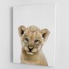 Peekaboo Baby Lion Canvas Print or Poster