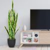 1PC 35.5 inches Indoor and Outdoor Decoration Fake Snake Plant Artificial Plant