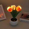 Tulip Lamp - LED Replica Tulip Table Lamp with Flower Vase for Desktop Decoration. Suitable for home, living room, desktop decoration, holiday gifts,