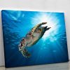 Turtle dive Canvas Print or Poster