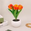 Tulip Lamp - LED Replica Tulip Table Lamp with Flower Vase for Desktop Decoration. Suitable for home, living room, desktop decoration, holiday gifts,