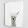 Llama Canvas Print or Poster
