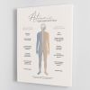 Autonomic Nervous System Canvas Print or Poster