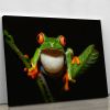 Red-eyed tree frog Canvas Print or Poster