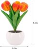 Tulip Lamp - LED Replica Tulip Table Lamp with Flower Vase for Desktop Decoration. Suitable for home, living room, desktop decoration, holiday gifts,
