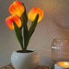 Tulip Lamp - LED Replica Tulip Table Lamp with Flower Vase for Desktop Decoration. Suitable for home, living room, desktop decoration, holiday gifts,